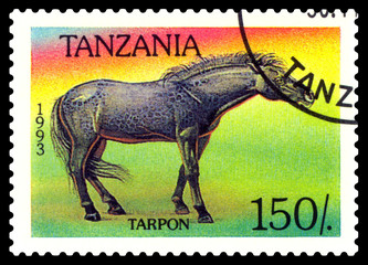 Vintage  postage stamp. Tarpon horse.