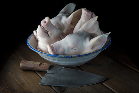 Cabezas de cochinillo, carne de cerdo para la comida