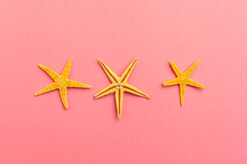 Fototapeta na wymiar Starfishes on a bright colorful vibrant background