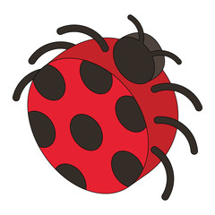 ladybug insect isometric icon vector illustration design
