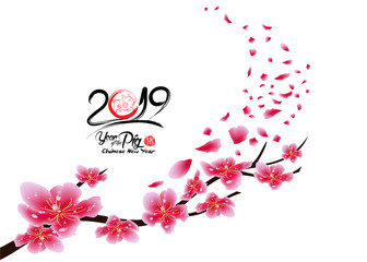 Sakura flowers background. Cherry blossom isolated white background. Chinese new year (hieroglyph Pig)