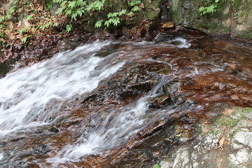 ゆっくりとした流れ(白糸の滝下流)