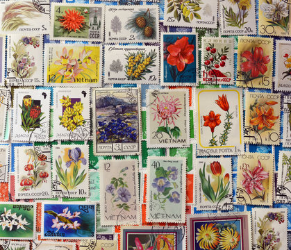 postage stamps of flowers