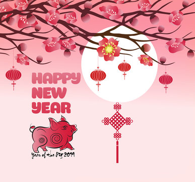 Chinese new year 2019 background blooming sakura branches