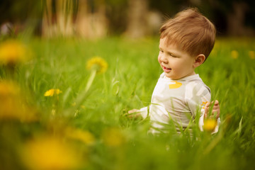 Concept: family values. Portrait of adorable innocent funny brown-eyed baby playing outdoor in the sunny dandelions field.