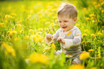 Concept: family values. Portrait of adorable innocent funny brown-eyed baby playing outdoor in the sunny dandelions field.