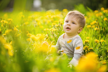 Concept: family values. Portrait of adorable innocent funny brown-eyed baby playing outdoor in the sunny dandelions field.
