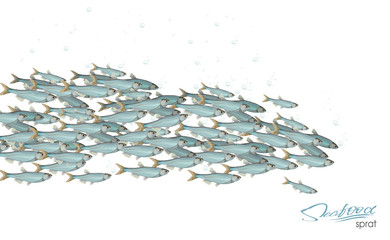 School of fish vector illustration for header, web, print, card and invitation. Plenty of herring or cod moving in the sea.
