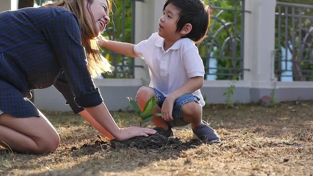 Asian mother and son planting young tree in black soil together slow motion 