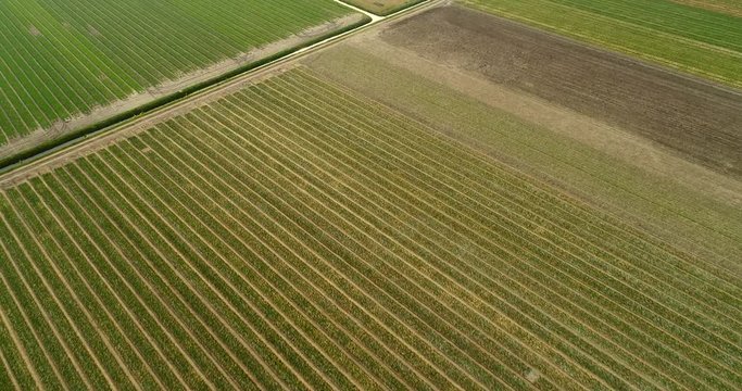 Aerial view of farming fields with canal in the  countryside of Vinkeveen, The Netherlands.