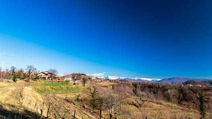 Sunset in the vineyards of Collio, Italy
