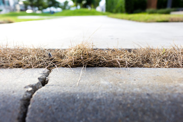 Dry grass on footpath.