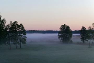 Landscape in the Bialowieza National Park in Poland at the early morning