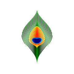 Colorful green orange and blue peacock tail feather, vector