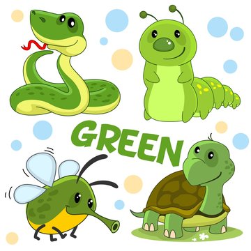A set of wild animals, insects and reptiles of green color for children and design. The image of a character, snakes, caterpillars, flies and turtles.