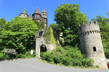 Fototapeta na wymiar Schloss Braunfels