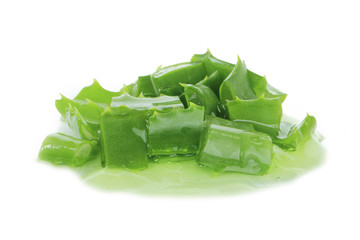 aloe vera heap isolated