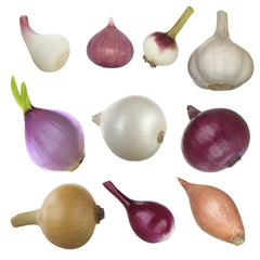 set of onions and garlic isolated