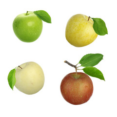 red, yellow, green and white apples isolated on white