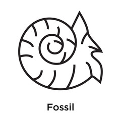 Fossil icon vector sign and symbol isolated on white background