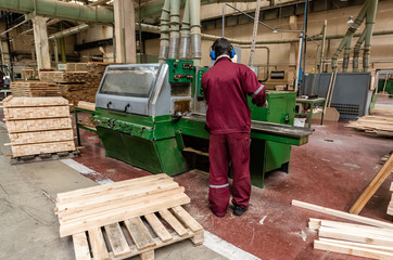 Naklejka na ściany i meble Worker works with wooden boards in the factory