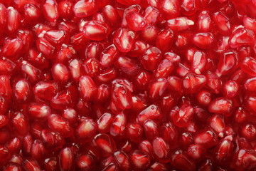 pomegranate berries  background