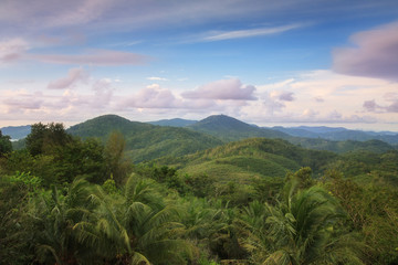 Fototapeta na wymiar Phuket, Thailand. The view from the mountains of Nakaked on the tops of the trees, forest and plantation. Blue sky with clouds and green jungle