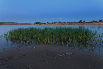 Volgograd region, Russia. Early morning. Wet sand on the river bank, green grass growing in the...