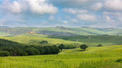Fototapeta na wymiar Tuscany in Spring. Landscape of Countryside Scene. Green Fields, Trees and Blue Sky with Clouds.