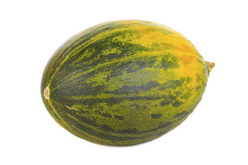 melon Piel de sapo  isolated on white background