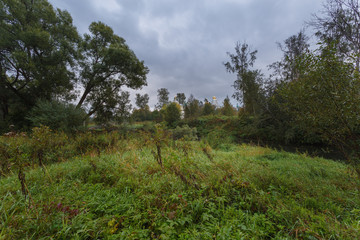 Istra, Moscow region, Russia. Morning landscape with church. Wet green grass in the meadow after rain