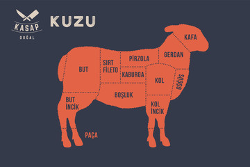 Naklejka premium Meat cuts. Poster Butcher diagram and scheme - Kuzu, Lamb. Typographic with the names of parts of meat in Turkish. Graphic design for butcher shop, restaurant poster, banner, web. Vector Illustration