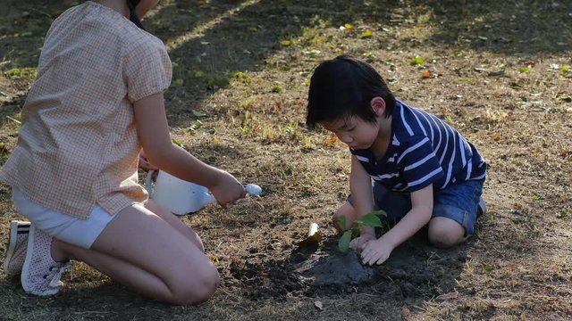 Asian sibling watering young tree on summer day 1