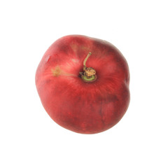 red flat peach isolated on white