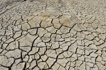 The parched soil