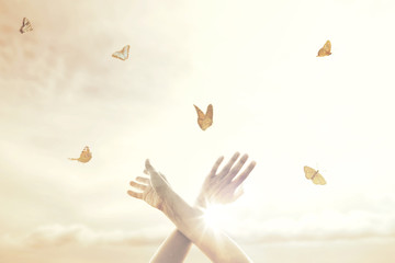 woman's hands dance in harmony with some butterflies in the middle of nature