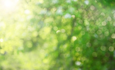 Green defocused abstract background with bokeh circles