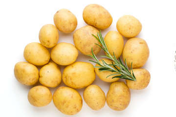 New potato and rosemarin isolated on white background close up.