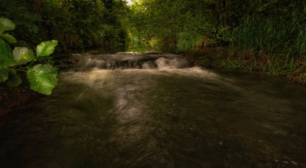 Fototapeta premium Wild Streams