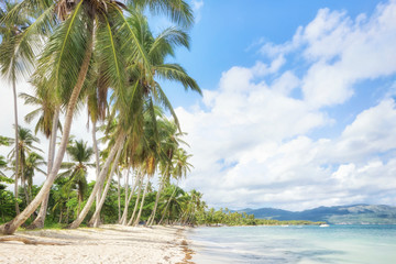 Panorama of secluded beach of, Las Galeras, Dominican Republic