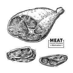 Parma ham vector drawing. Hand drawn hamon meat illustration. Italian prosciutto