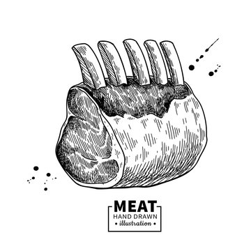 Raw ribs vector drawing. Beef, pork or lamb meat hand drawn sketch.