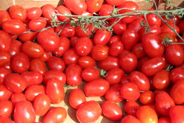 Lots of small tomatoes in tray