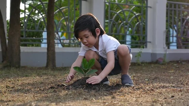 Cute Asian child planting young tree on the black soil  
