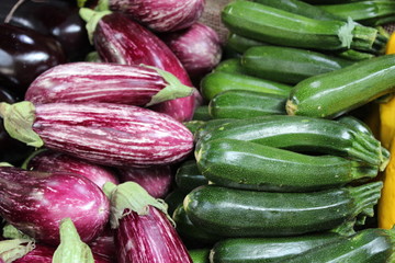 Rows of courgettes