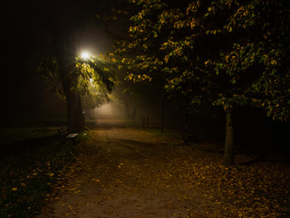 fog in the park, night, soft focus, high iso