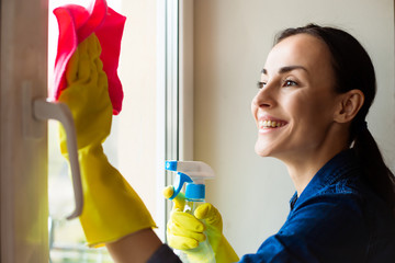 Beautiful Young Woman is Using a Duster and a Spray and Smiling While Cleaning Windows in the House