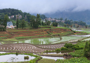 Village over terraced rice fields in Yuanyang, Yunnan Province, China