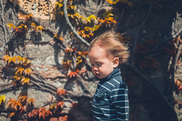 Toddler boy with hair blowing in the wind by wall