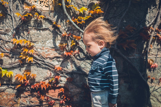 Toddler boy with hair blowing in the wind by wall